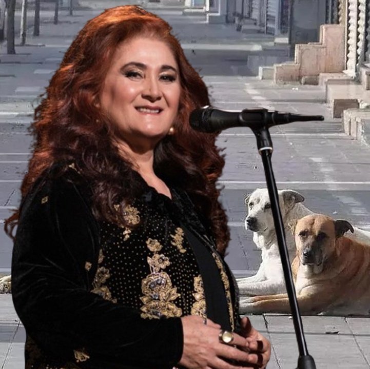 Ünlü türkücü Sabahat Akkirazʼın kız kardeşine dün Tarabya sahili civarında bir grup başıboş köpek saldırdı.

Akkiraz: ❝Sorun artık köpekleri sevip sevmemek değil. Sorun artık bir güvenlik sorunu.❞