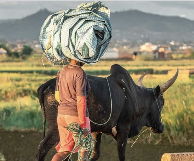 Au dernier Comité #ONG @AFD_France 2 projets multi-pays intégrant le #Vietnam avec une dimension #genre en milieu rural : ✅ @CAREfrance : femmes et #changementclimatique dans les réglons vulnérables ✅ @entrep_monde #microfinance avec #ACE à #DienBien ➡️shorter.me/Takft