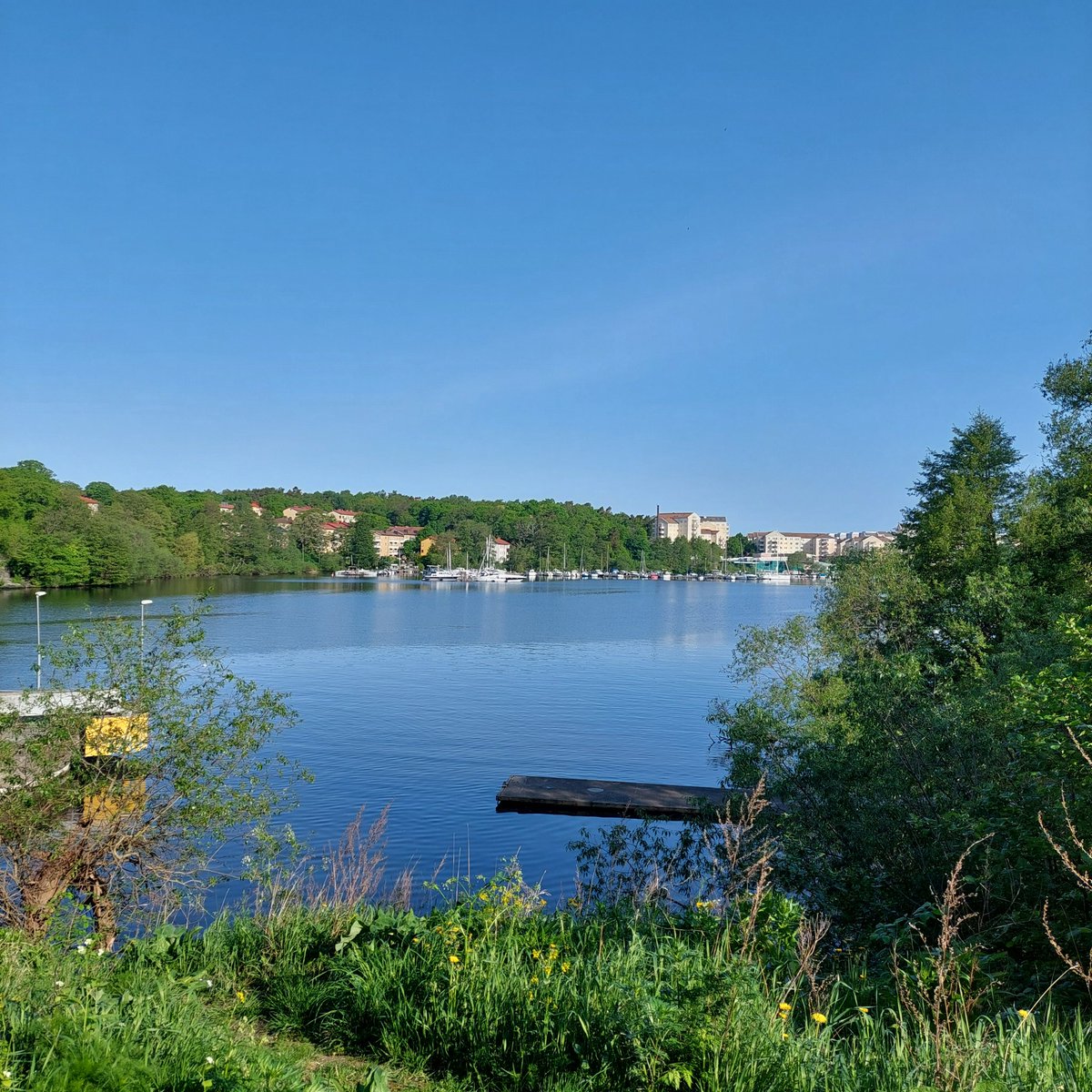 billigtgarn's tweet photo. Dag 5 av kort morgonpromenad till vattnet före kaffet. Vilket skulle bevisas. https://t.co/bxAYcL4m8G