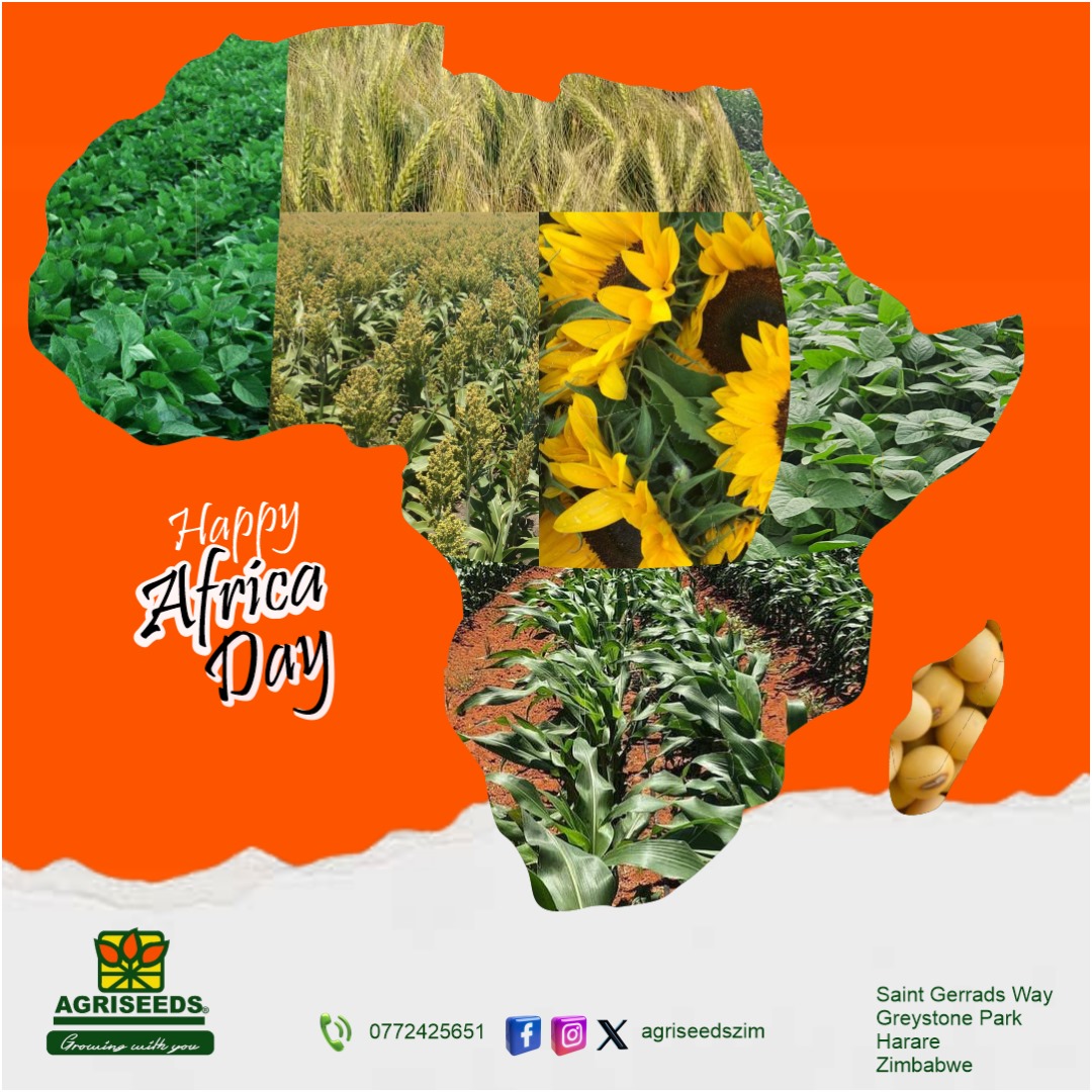 The beautiful continent rich of natural resources enough to feed the more than 1.2 billion people on it. On this day we call upon the African leadership collective, diaspora, academia, & Africans in general to unite in their diversity to complete the mission of the African Union.
