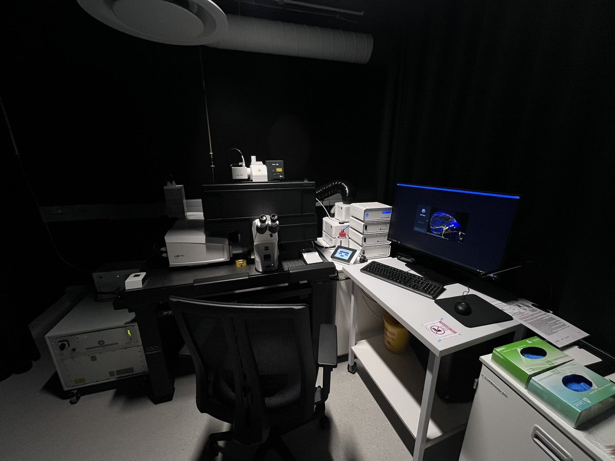 Henrico Langeveld tweet media