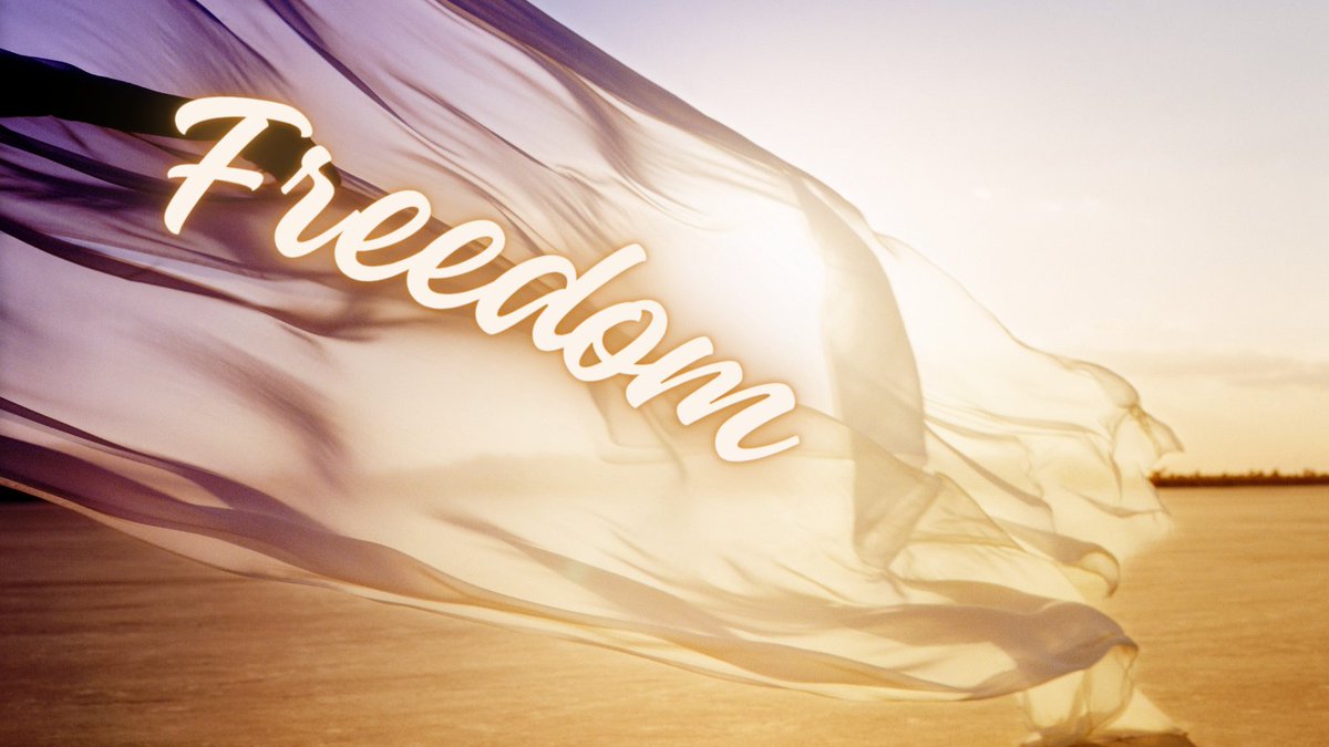 "There is no need to seek freedom because if we simply allowed ourselves to be, we would be completely free."

#daimondepth #CryptoInvestors #consciosness