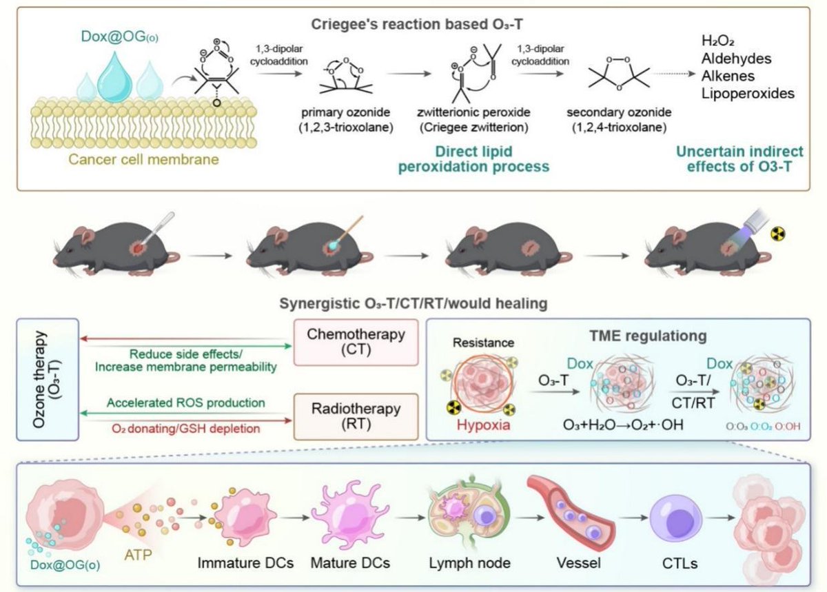 Intracellular Criegee's mechanism-based synergistic ozone therapy mediated by oleogels for cancer treatment. | Lingyun Zhao @Tsinghua_Uni | #oleogel #OzoneTherapy doi.org/10.1016/j.jcon…