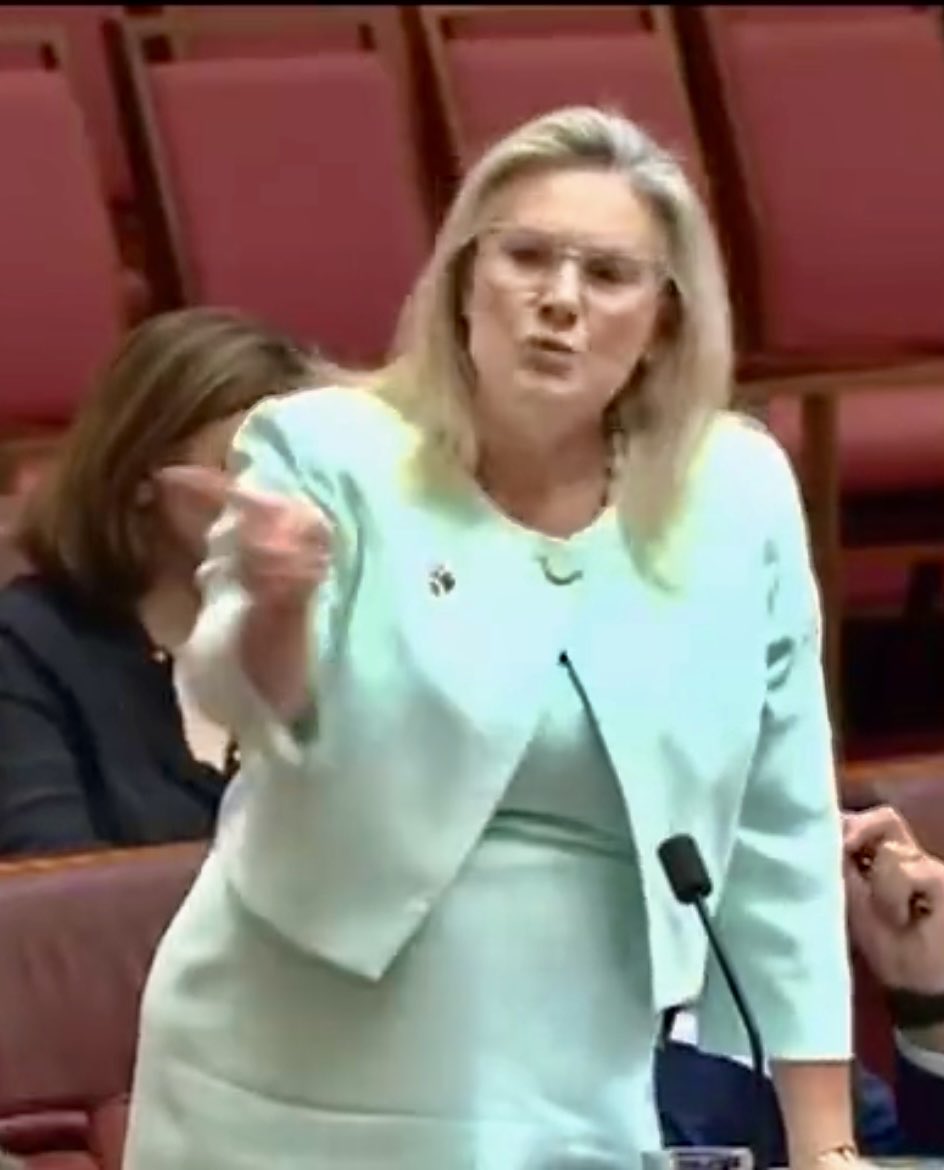 SaraJade_13's tweet photo. #HollieHughes loses pre-selection to an unwinnable fourth  spot on the New South Wales Senate ticket. Good riddance to another conservative finger pointer. Here in the Senate projecting onto #MurrayWatts “Continually snarky, personal smears, and vilification!” 🙄 https://t.co/MM60GXjI5U