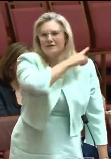 SaraJade_13's tweet photo. #HollieHughes loses pre-selection to an unwinnable fourth  spot on the New South Wales Senate ticket. Good riddance to another conservative finger pointer. Here in the Senate projecting onto #MurrayWatts “Continually snarky, personal smears, and vilification!” 🙄 https://t.co/MM60GXjI5U