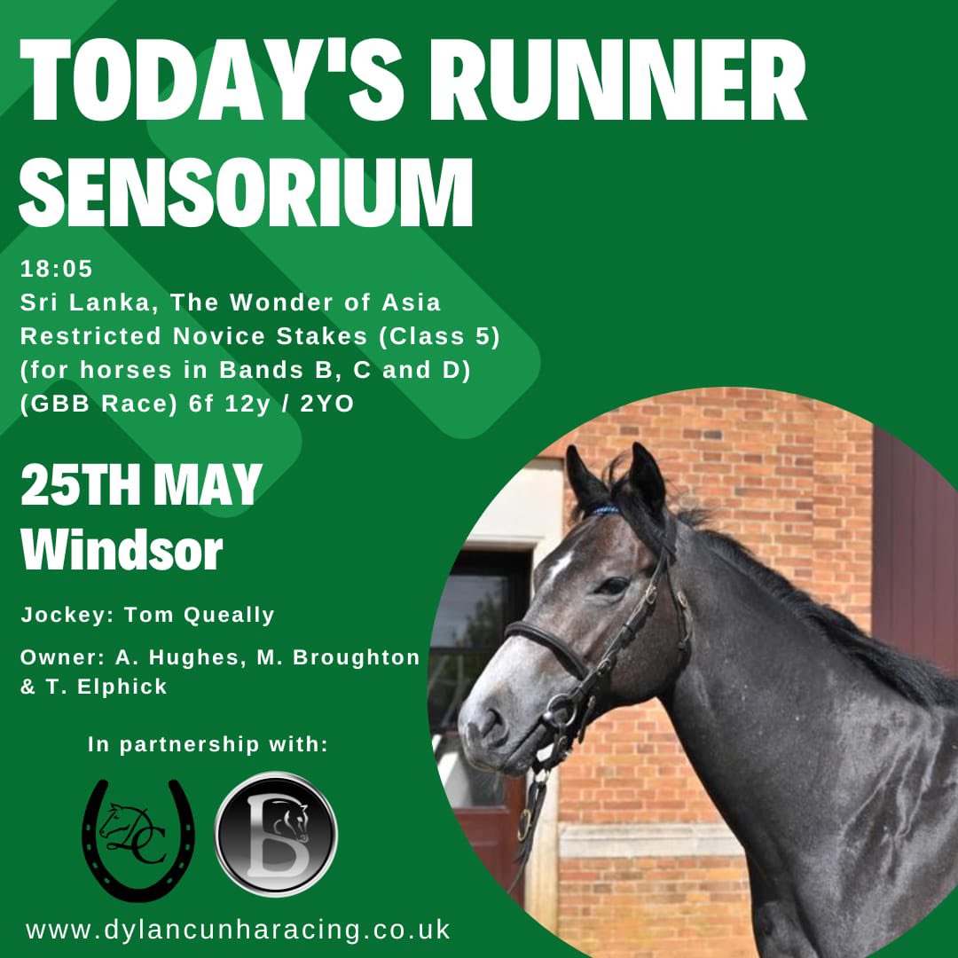 Sensorium runs this evening @WindsorRaces with @tpqueally riding on @AtTheRaces @SkySportsRacing 🏇💚💫