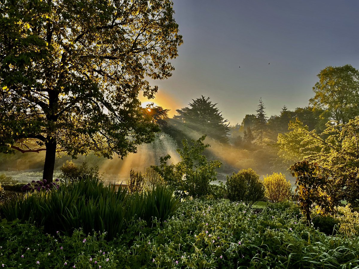 Good morning! Here’s the sunrise over The Rose Garden, Roath Park.
