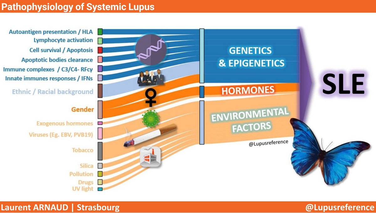 ✅ Pathophysiology of Systemic #Lupus ⬇️ at #JFR2024 🦋 #Lupusawarenessmonth