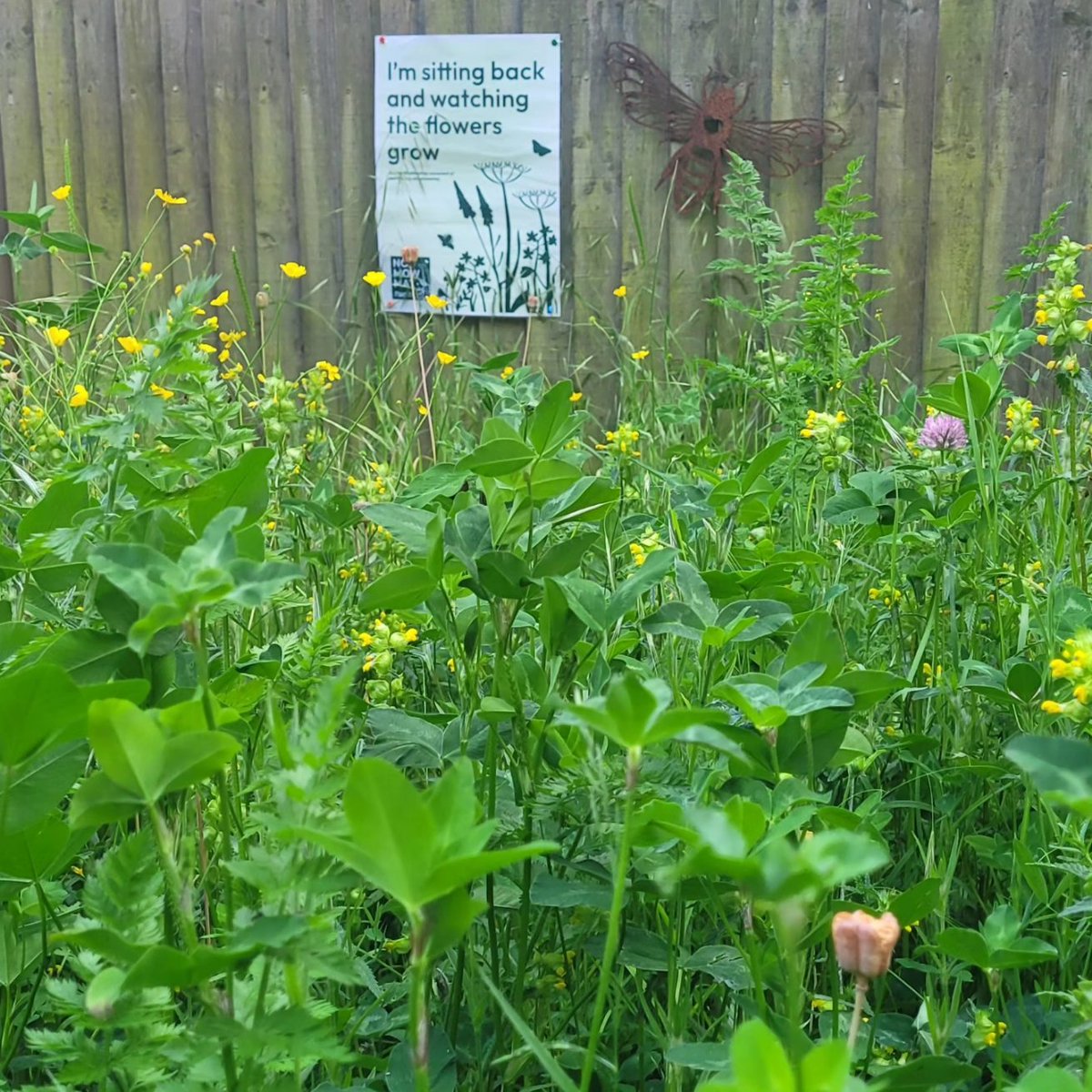 RawBaking's tweet image. 