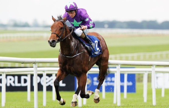 HURRICANE IVOR blows them away! 💨 Delighted to have a winner @curraghrace last night 🥇 The dude ‘Hurricane Ivor’ winning the @mongeycomms handicap 🟣🟢 Huge congratulations to his owner Ms Fiona Carmichael 🥂🥂 Ridden by Shane Foley 👏 📸@tommaher85