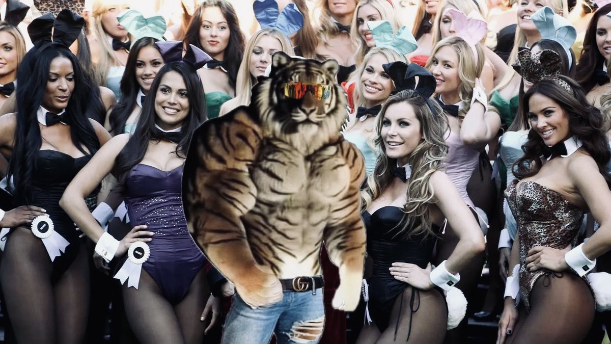 <a href="/blknoiz06/">Ansem</a> Buy $buff