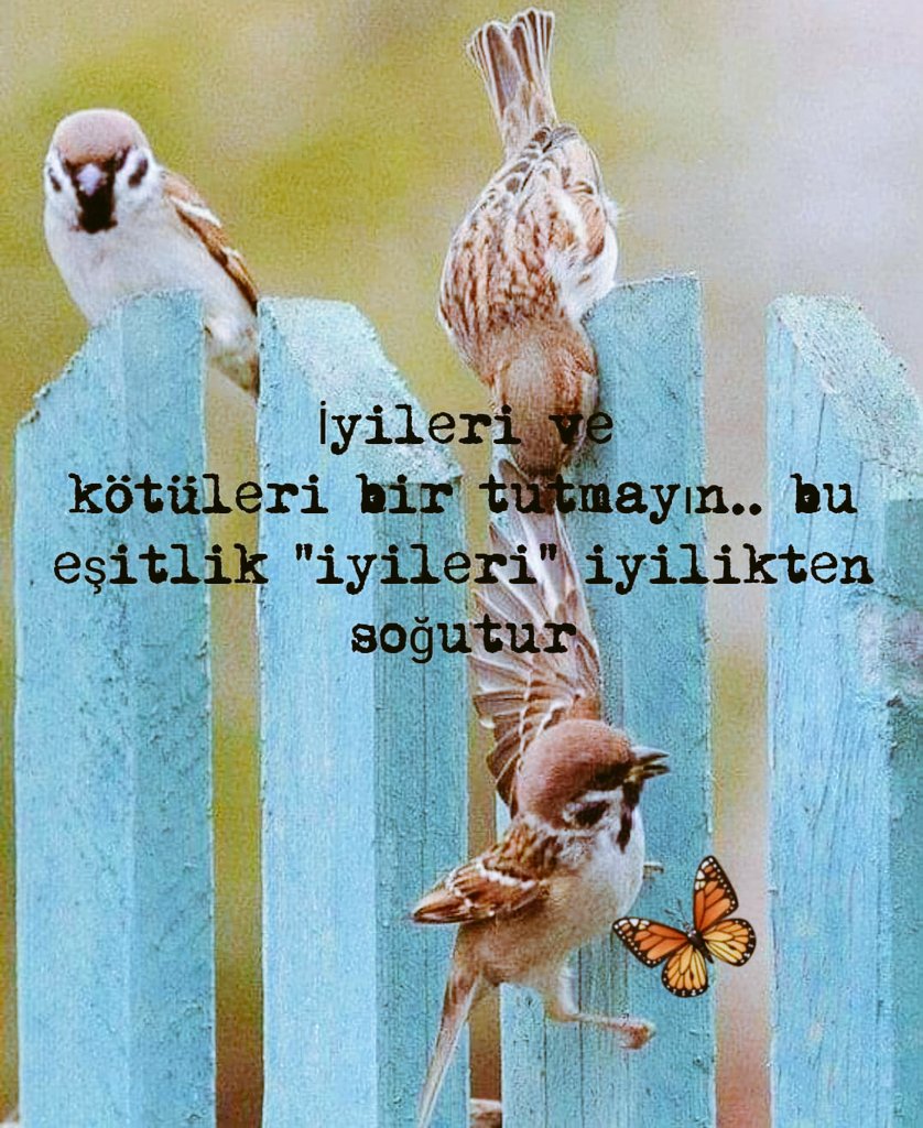 #Bismillahirrahmanirrahim #Mümin erkekler ve mü’min kadınlar birbirlerinin #dost larıdır. İyiliği emreder, kötülükten alıkoyarlar. #Namazı dosdoğru kılar, #zekâtı verirler. #Allah’a ve Resûlüne itaat ederler. İşte bunlara Allah #merhamet edecektir. Tevbe-71 #HayırlıSabahlar