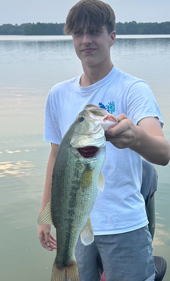 Adam Hamilton tweet media