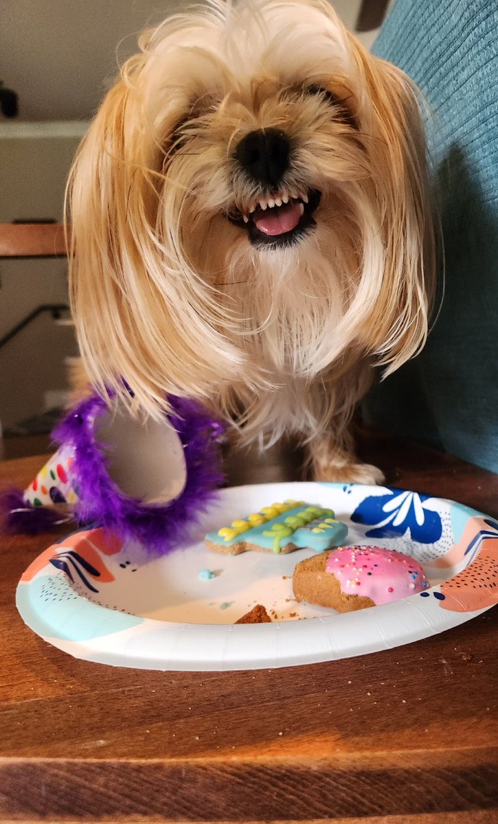 BearsCancelled tweet media