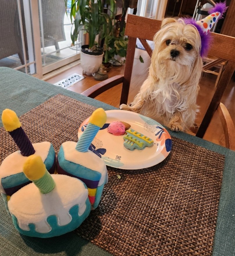 BearsCancelled tweet media