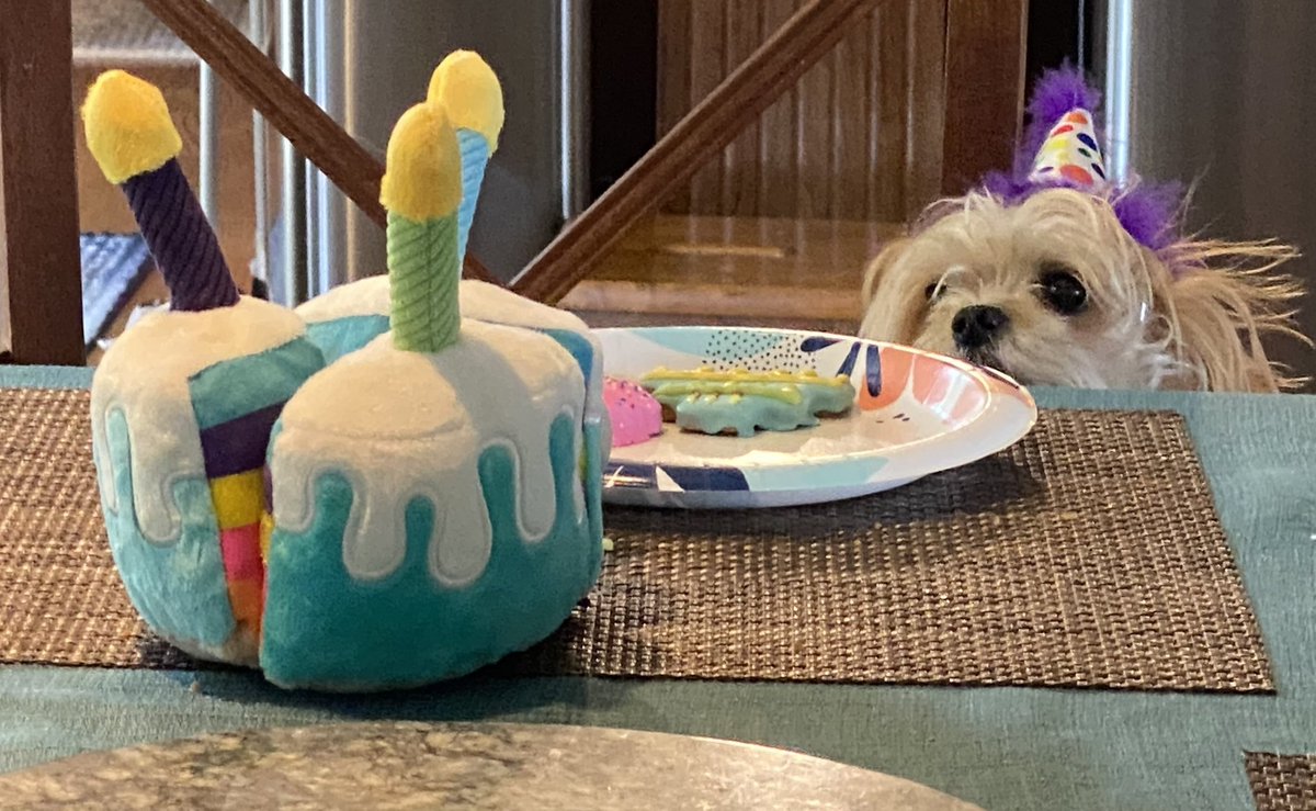 BearsCancelled tweet media