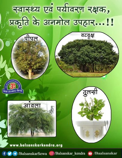 स्वास्थ्य व पर्यावरण रक्षक पेड़ पीपल का वृक्ष दमानाशक, हृदयपोषक, ऋण-आयनों का खजाना, रोगनाशक, आह्लाद व मानसिक प्रसन्नता का खजाना तथा रोगप्रतिकारक शक्ति बढ़ाने वाला है । balsanskarkendra.org/tips/health-ti… #स्वास्थ्य_सुरक्षा #SantShriAsharamjiBapu #Trees