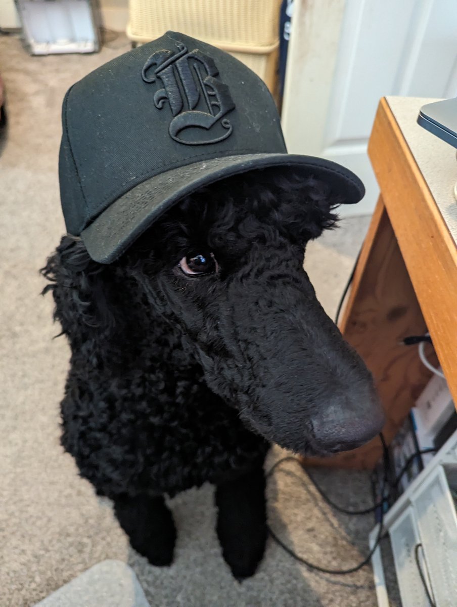 Sir Lancelot rocking the <a href="/beachcombercc/">Beachcomber Coffee</a>  black on black snapback