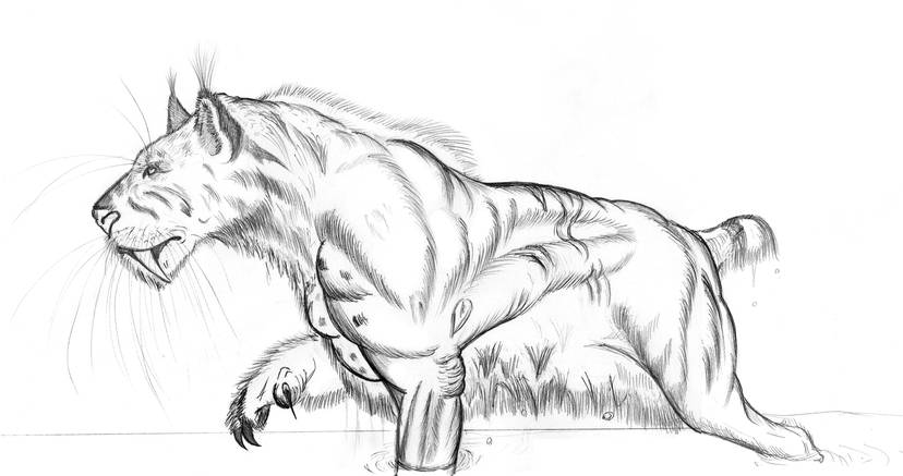 The Ennedi tiger is a cryptid, purportedly a living saber-tooth reported from the Ennedi Plateau, Tibesti Mountains, and Guéra Massif in Chad; the Bongo Massif in the Central African Republic. Native names include biscoro, gassingrâm, hadjel, and vassoko. #cryptid #cryptozoology