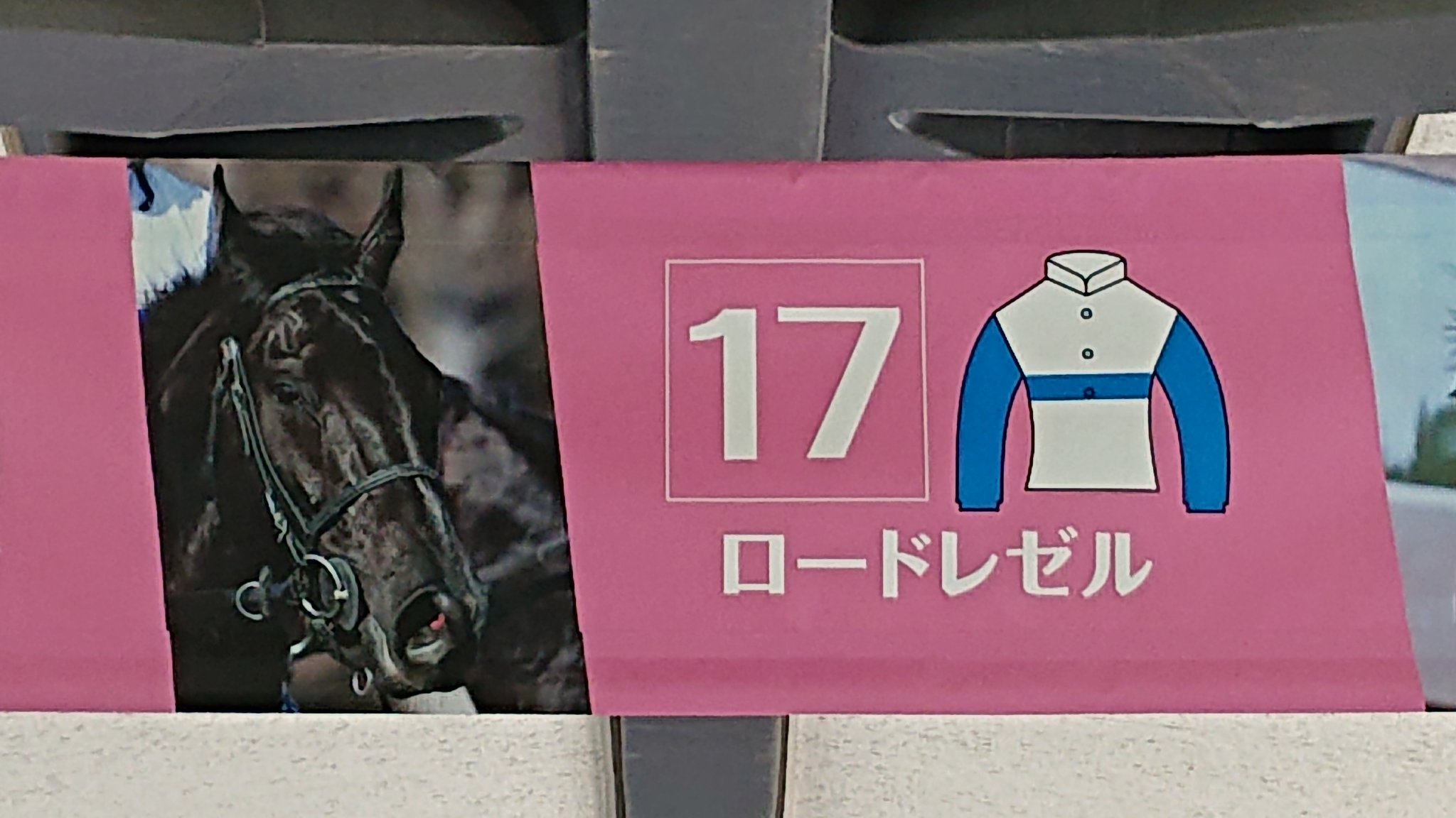 あきあきつねうま🍁🍁🦊🐴 on X: 