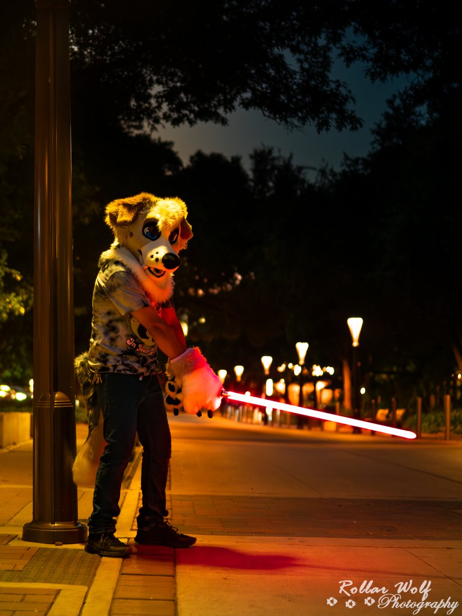 'Embrace the dark side with a furry twist this May! 🐾🌑 Let the Furce flow through you. #StarWars #FurryPride #MayTheFourth

🐶:@thatpubbyizzy
📷:@rollarwolf