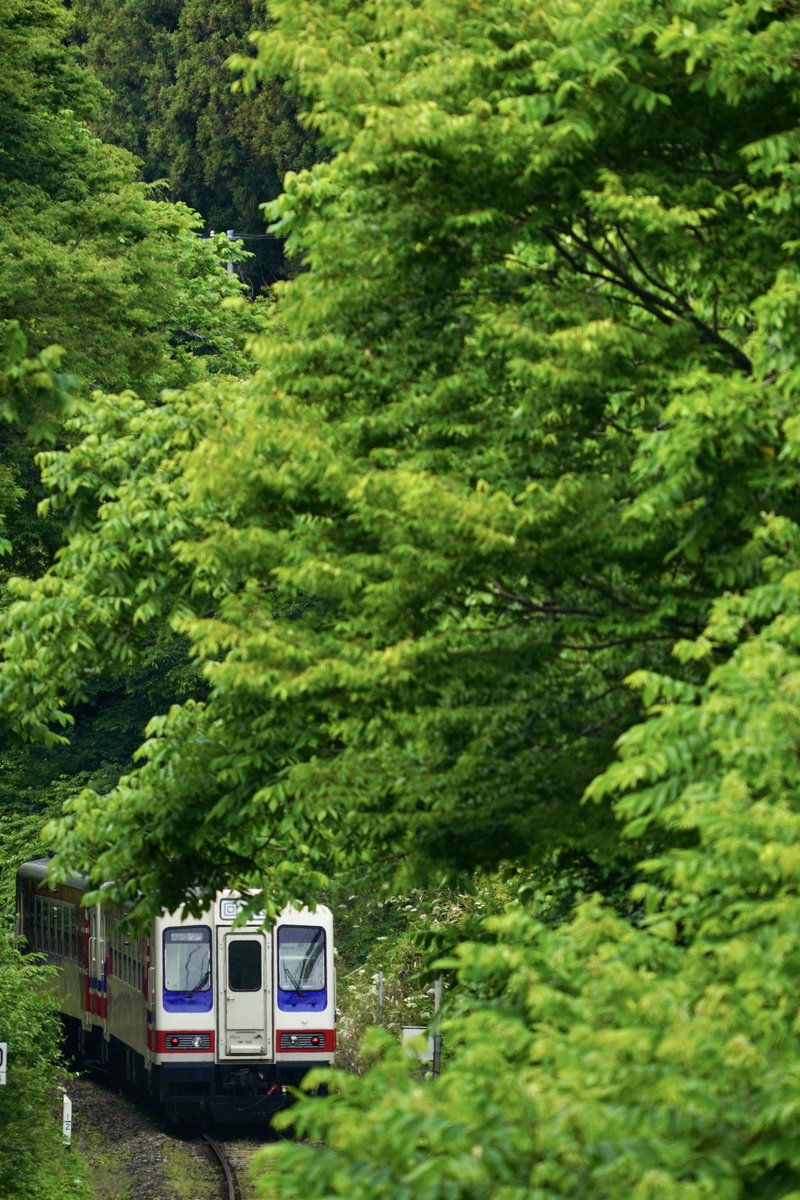 木が育ってきて無くなってきた撮影地をなんとか救おう、の会

#三陸鉄道　#三陸鉄道リアス線　#三鉄　 #さんてつ　#岩手　#岩手県
#japan  #iwate  #sanriku  #sanrikurailway  #railway