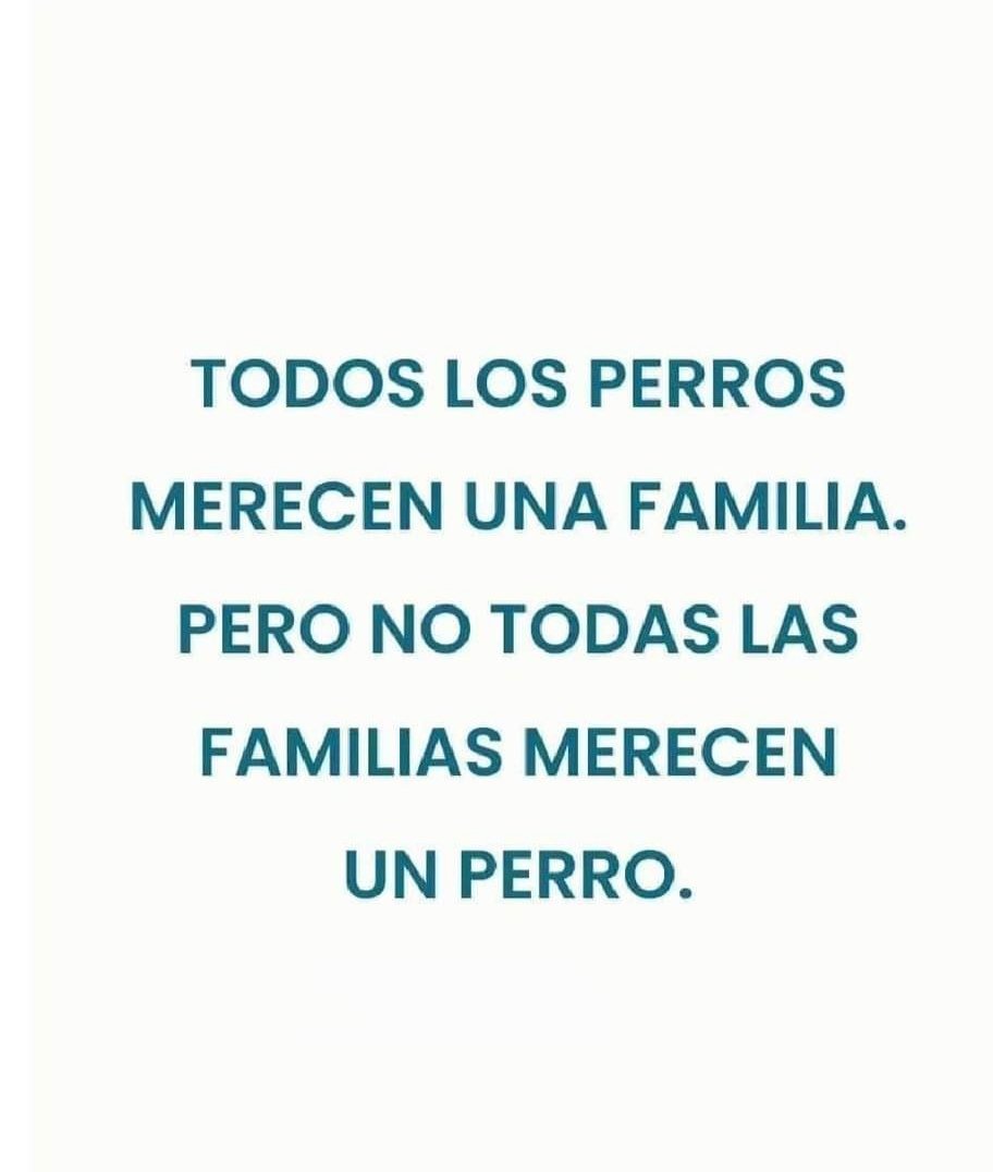 DE ACUERDO...! 🐕🙌  @ALEXANDRA_1877 @MirandaV14Ok @LaCarajita3000 @GochaSuper @annydiazgrana @PatoCornejo @andretaboada @marielaviteri @Barbara97807338 @AMZTravel @paopaolita2 @DoraVic02 @sammy321a