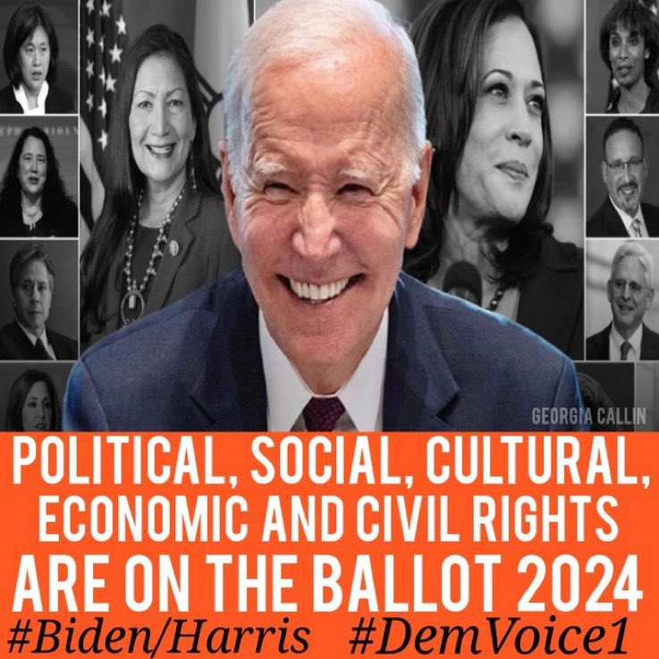 We vote for Democrats because we know everyone should be free to pursue their dreams & make their choices without politicians interfering. Joe Biden knows protecting that freedom is the key to our unity & prosperity. The only unity his opponent wants is in a Reich. #DemVoice1