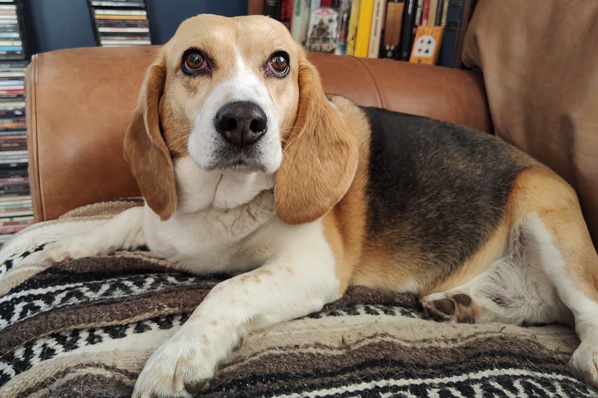 Ferguson y Jasper tweet media