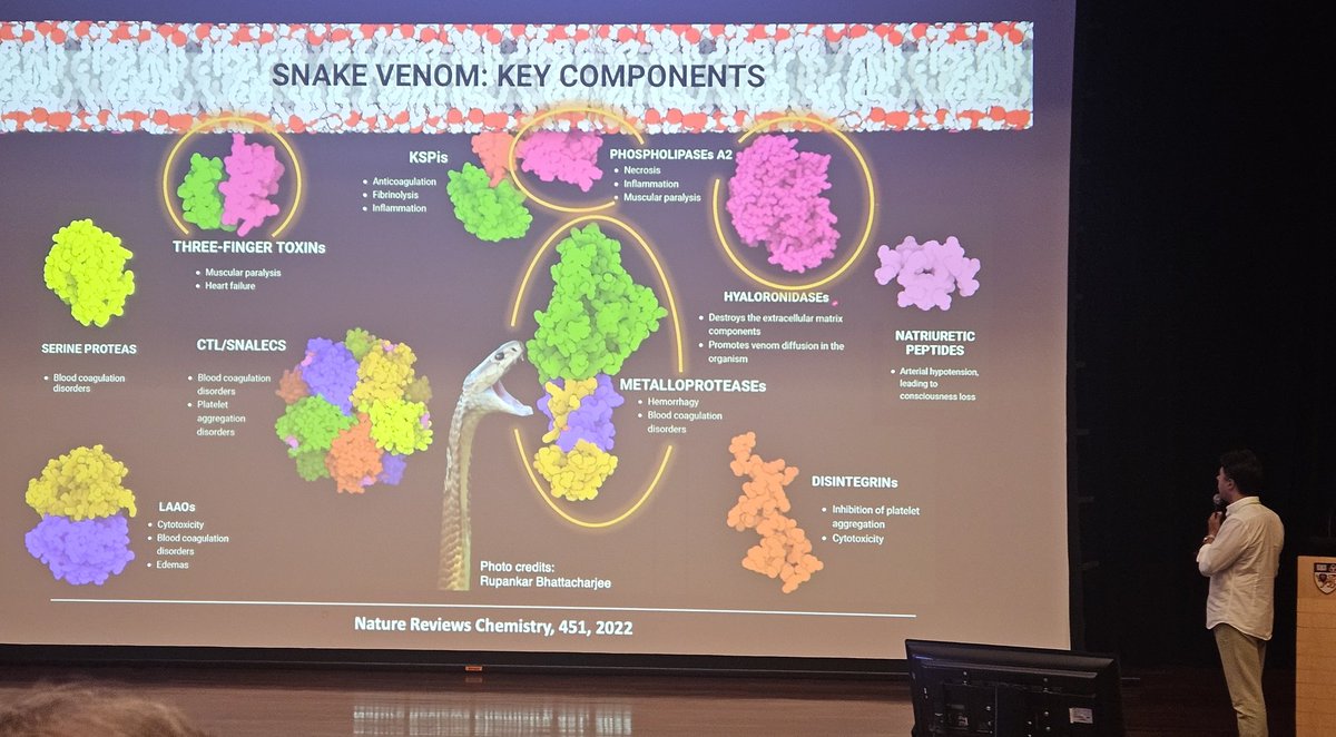 RachelHClare's tweet photo. Great talks on the last day of #IST including very exciting new antibodies being isolated and characterised by Kurt Wibmer's lab, Jereon Kools high-throughput systems and computational work by Pedro Fernandes https://t.co/5ZBbjKpAOV