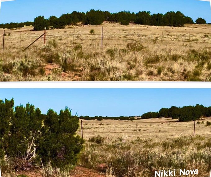 From a recent drive, cuz sometimes I just gotta go where there are no people 🙌 🫶 #NikkiNova #Arizona<a href="/tag/arizona"class="tags"><span>#arizona</span></a><a href="/tag/nikkinova"class="tags"><span>#nikkinova</span></a>