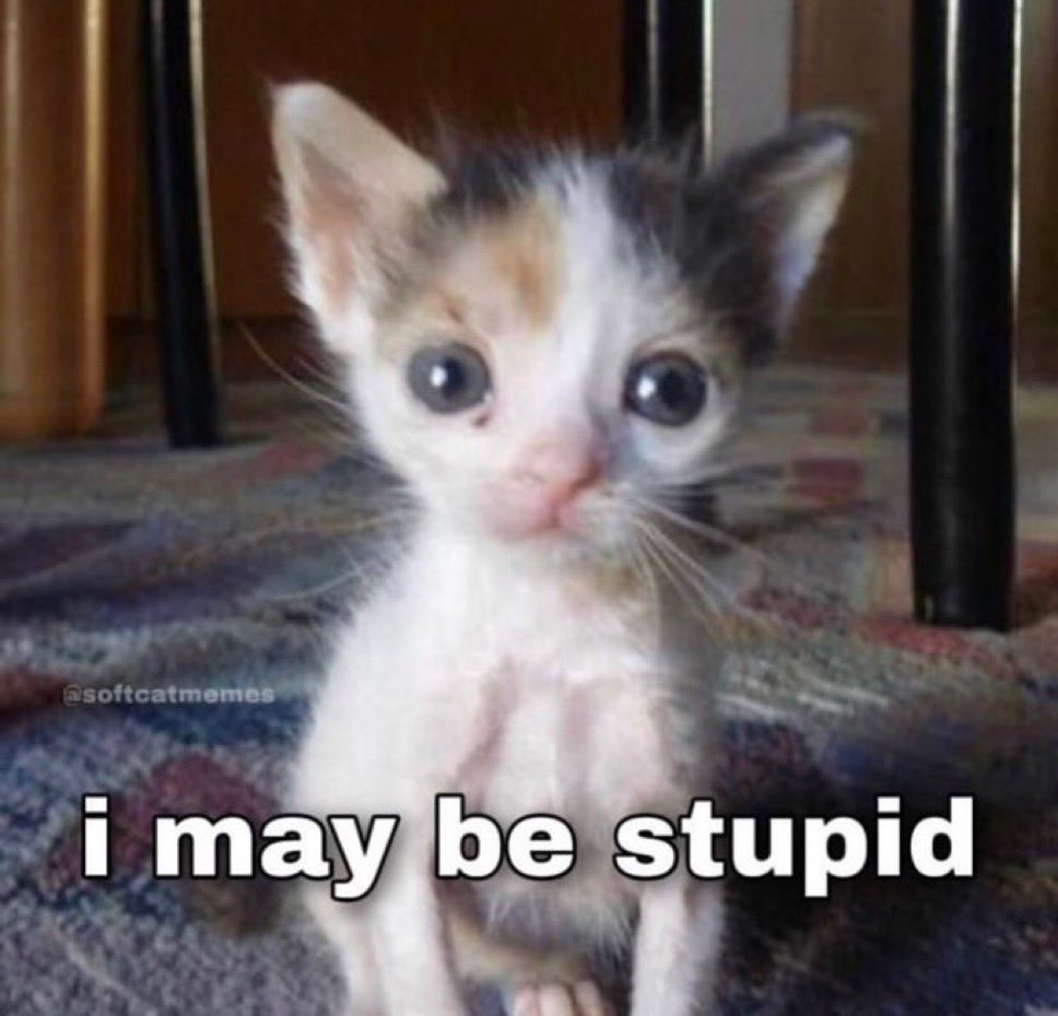 literallymecats's tweet photo. https://t.co/2NdAOhaRrj