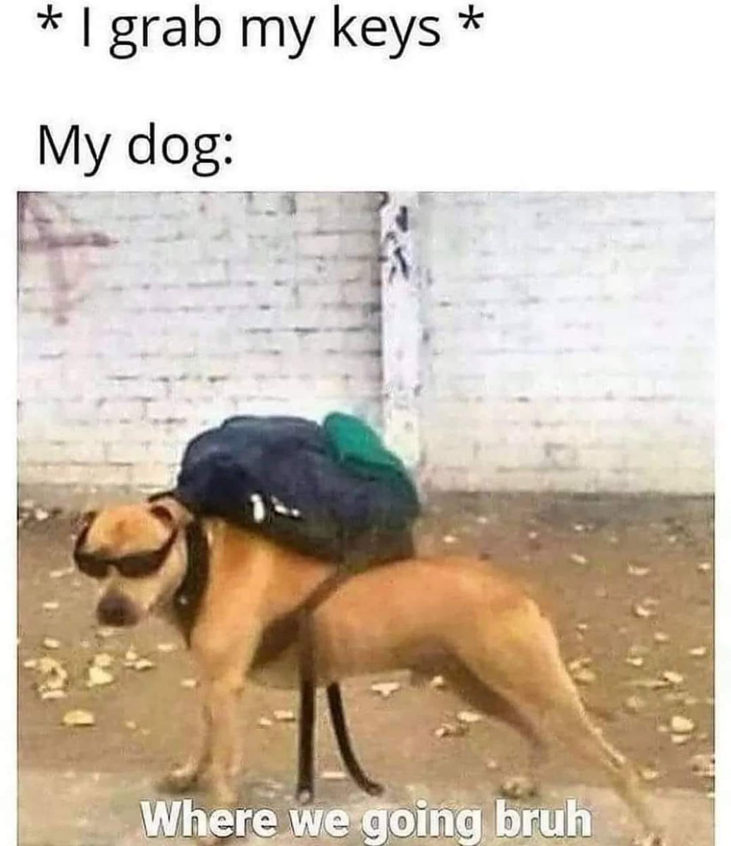 Spill The Memes tweet media