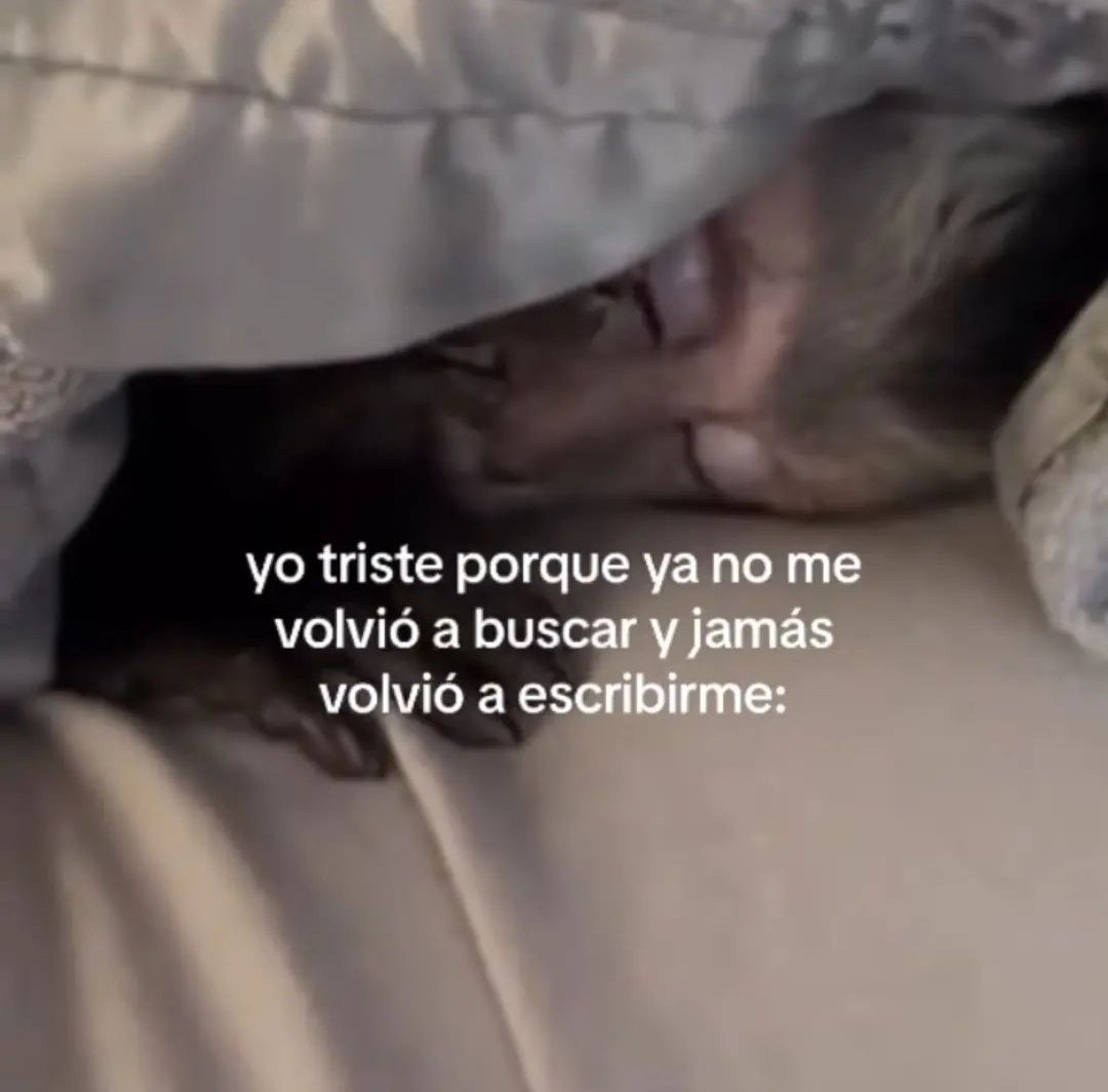 En Júpiter tweet media