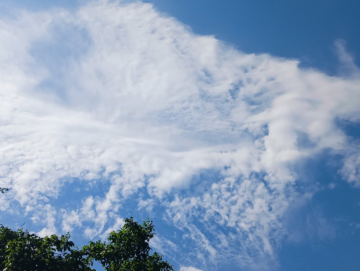 bisoheart's tweet image. 25 MAY 💨 
Morning Clouds.
#Randomshots📷