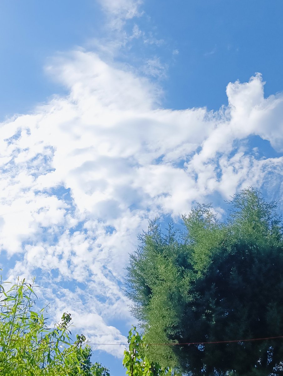 bisoheart's tweet image. 25 MAY 💨 
Morning Clouds.
#Randomshots📷