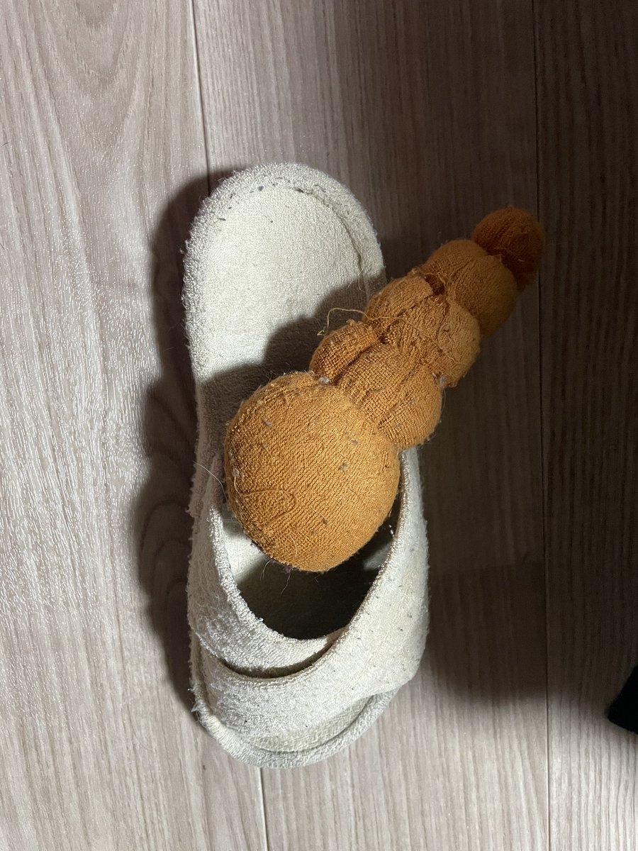 satoutococo's tweet photo. ママはなんとなーくおもちゃを詰めた犯人分かってますよ。😏 https://t.co/pmCwgwzz9P