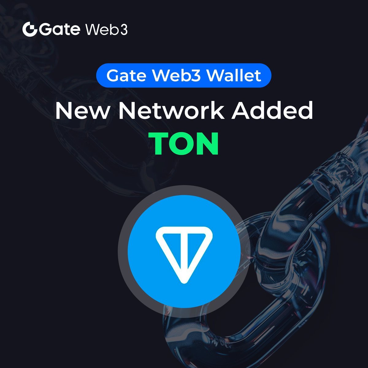 Exciting news! The #TON network has recently gained support on the Gate Web3 Wallet. This is a significant development as it allows users to easily access and utilize the $TON network through the user-friendly interface of the Gate Web3 Wallet. @ton_blockchain @T0N_network