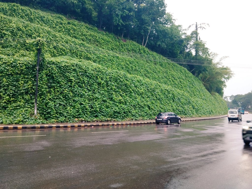 imSAM46's tweet image. Reached Hometown 😊