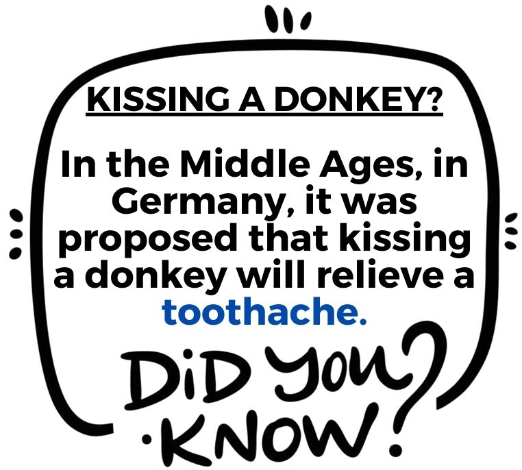 Did You Know??.... Kissing a Donkey???

#flossdental #thetoothdr #flossboss #didyouknow #mythbusting #dentist #dentistry #oralhygiene #trinidadandtobago