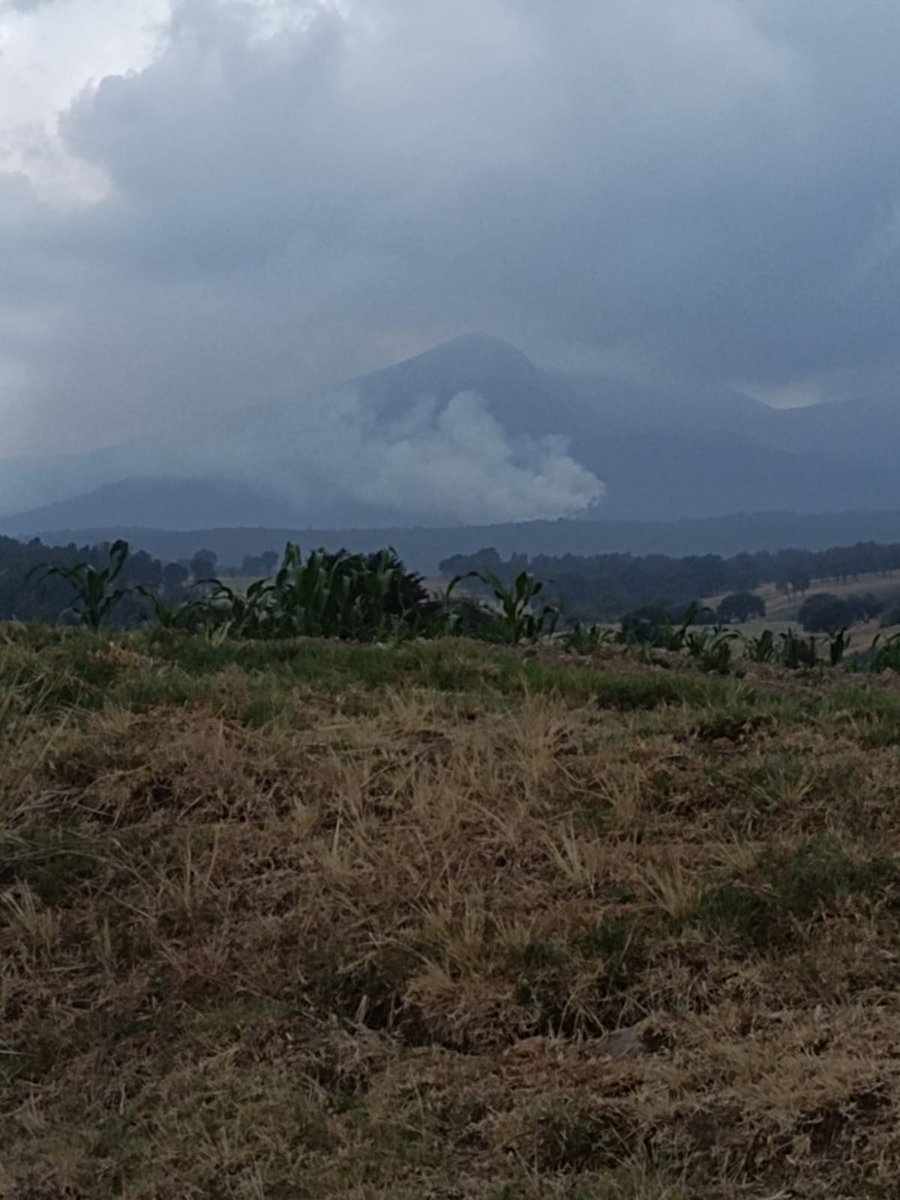 🚨#Alerta | Incendio forestal afecta faldas del Nevado de #Toluca hgrupoeditorial.com/incendio-fores…