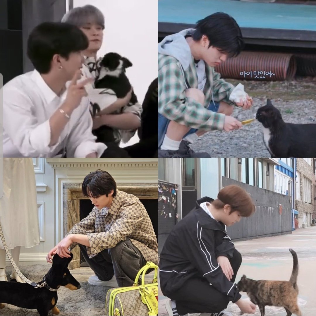 Remember when 2min said they'll keep both dog and cat if they live together?? I can see the vision
