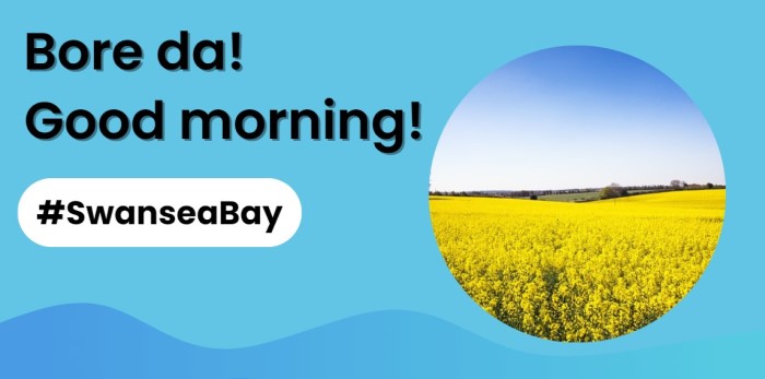 Bore da and good morning #SwanseaBay Let us start today by taking a look at the career opportunities currently available @CwmTafMorgannwg - ow.ly/2iXT50QIhAO #BridgendJobs #SBayJobs #NHSJobs Follow us @JCPinSwanseaBay to ensure you do not miss out on local vacancies!