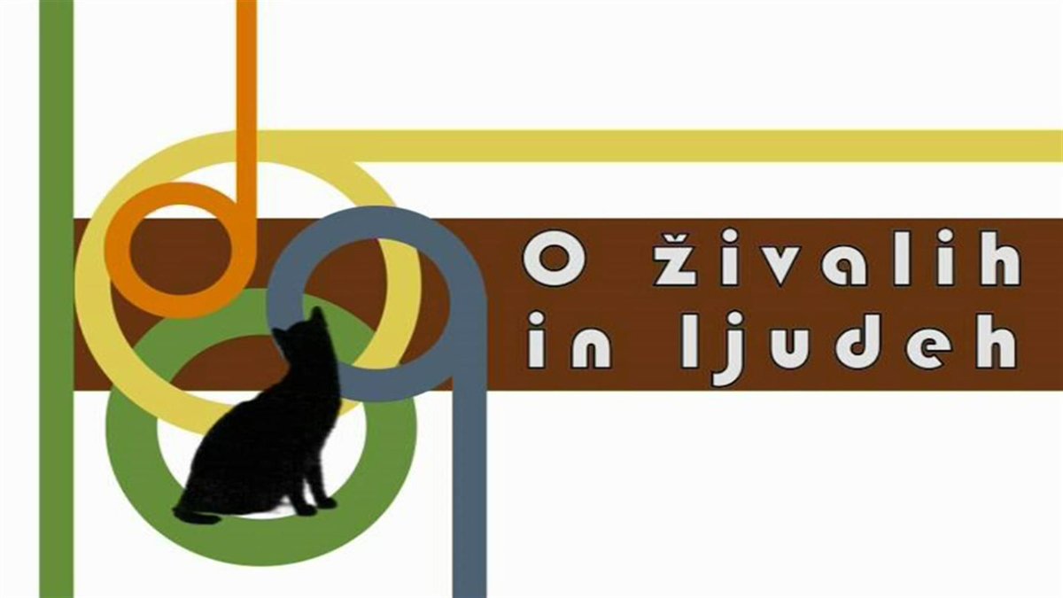 sobota, 25. 5. 2024 TV SLO 1 ob 13.25 O živalih in ljudeh izobraževalno-svetovalna oddaja Preverili smo, kako uspešna sta Klub kraških ovčarjev in Kinološka zveza pri pridobivanju statusa protokolarnega simbola Slovenije za kraške ovčarje.