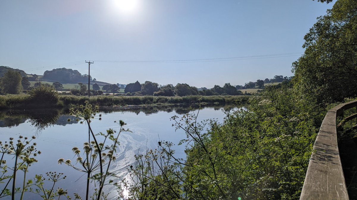 #BlueMind beauty to start the day