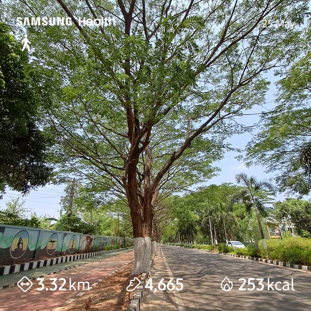 Saturday ✔️
Done with decent 🚶‍♂️ of 3.32 kms
Day-20
#RojanaEkGhanta
#FitIndia