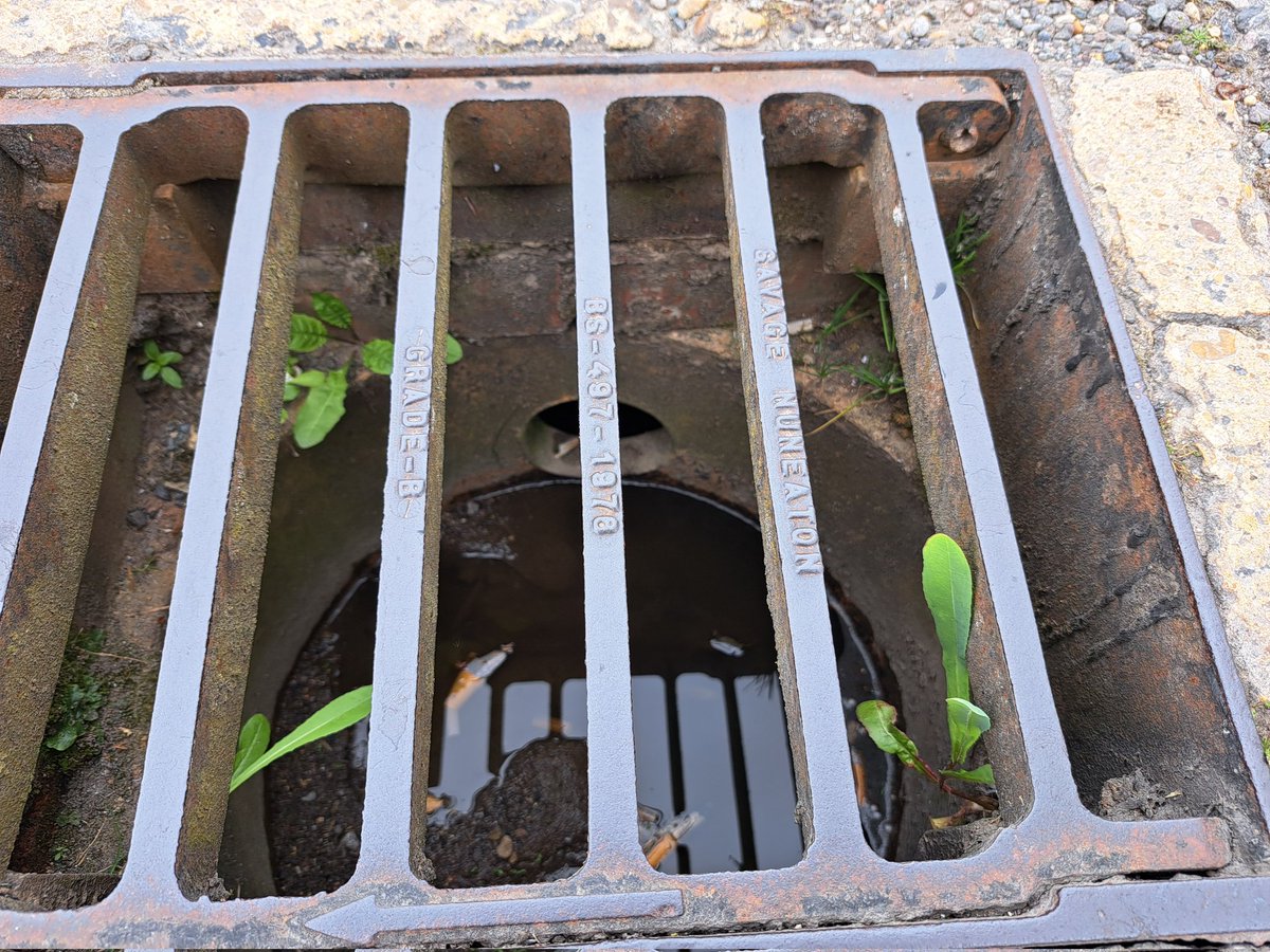 🚭 No Butts🚭 Please dispose of your cigarette butts responsibility, NOT down a storm drain. These butts (full of toxic chemicals) will end up in the river harming wildlife. Storm drains lead directly to the river, no intercepion/ no filtering. Please share: #OnlyRainDownTheDrain