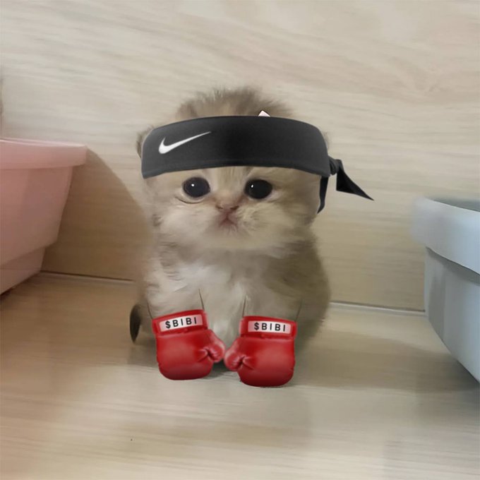 @lovelyhideous tweet media