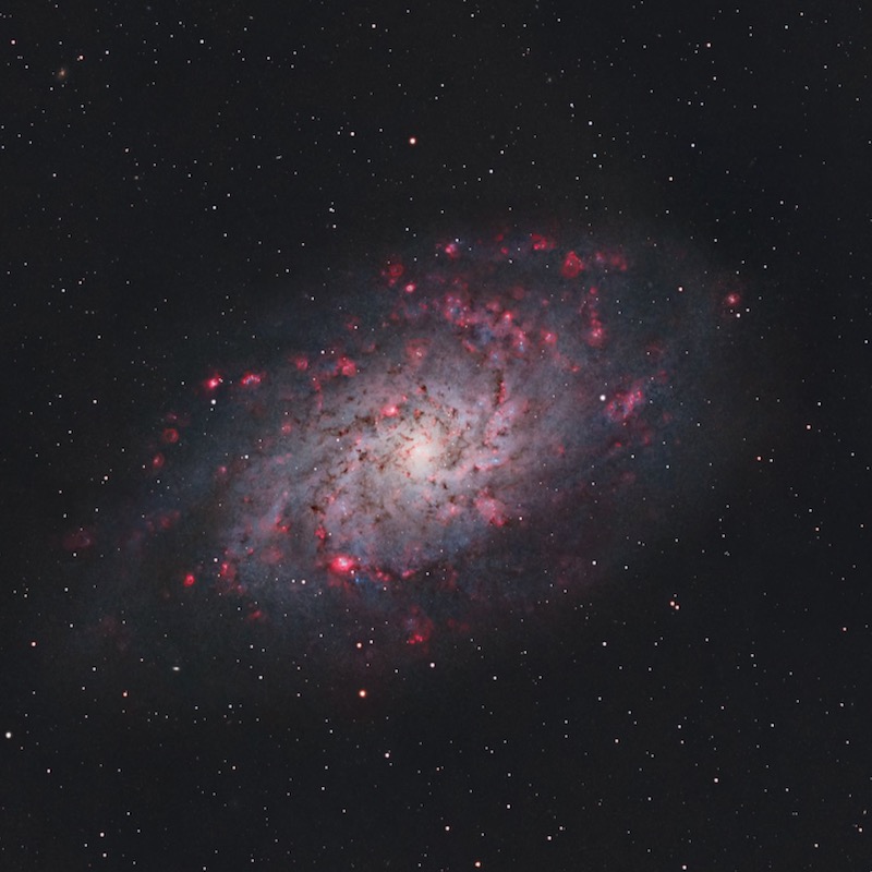 This is M33 (Triangulum Galaxy) about 2,73 million light years distant in constellation Triangulum. A popular target and a close neighbor, it's stellar population numbers around 40 billion. This well defined spiral is a member of our Local Group of Galaxies. 📷 Astrobin #M33