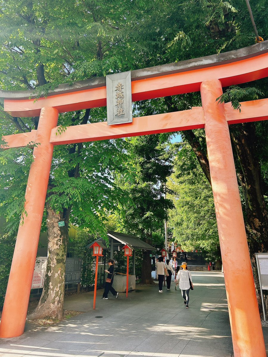 神楽坂にある赤城神社
都会にある貴重な緑🌳

#自然
#神楽坂